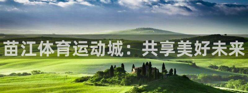 谈球吧