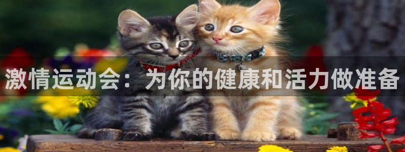 谈球吧体育官网：激情运动会：为你的健康和活力做准备