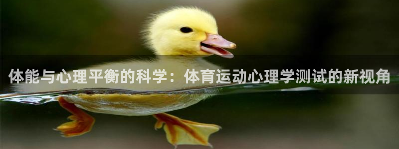 谈球吧体育：体能与心理平衡的科学：体育运动心理学测试的新视角